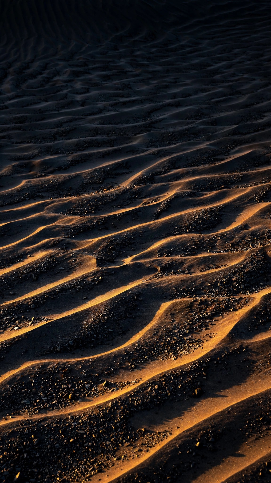 Wind ripples in black sand under golden low light