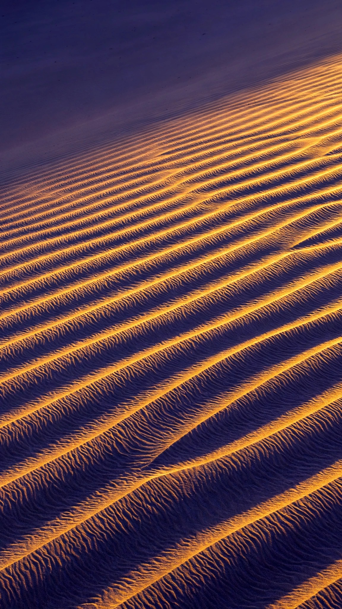 Golden sand dune ridges rippling diagonally in amber sunset light, vertical abstract wallpaper