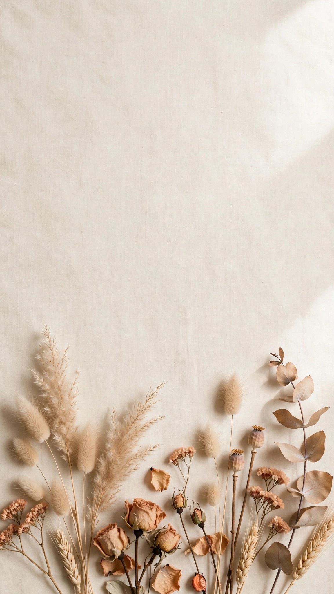 Dried flowers minimal flat lay on cream background
