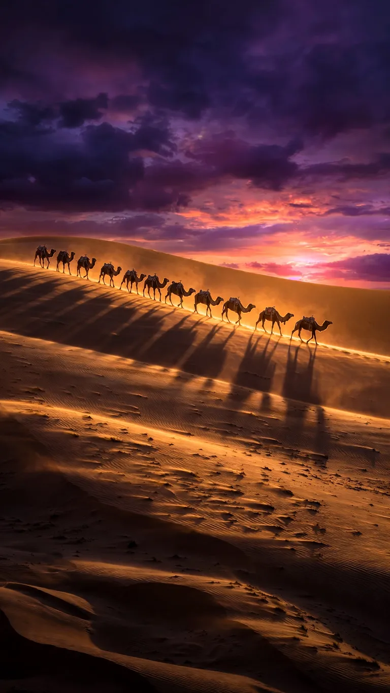 camel caravan shadows on golden sand dunes at sunset wallpaper
