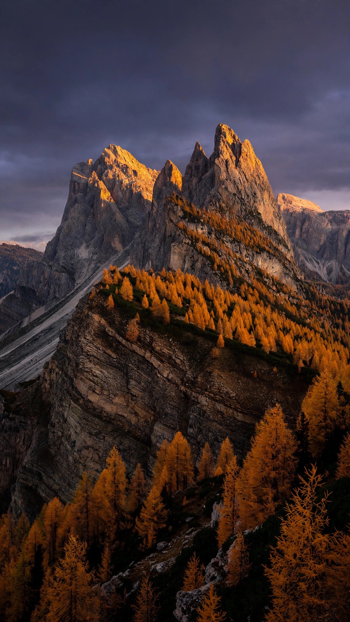 Seceda Dolomites peaks at sunset above golden autumn larch forest