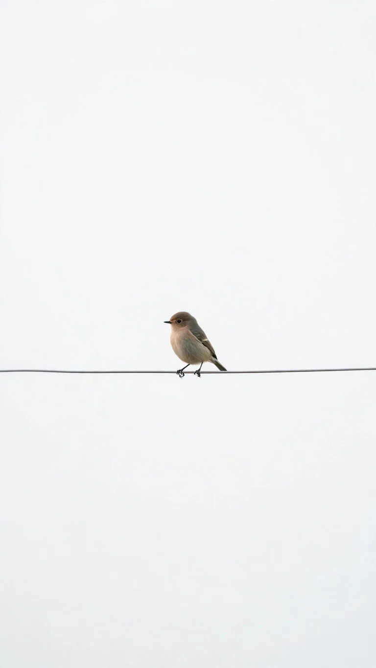 Lone small bird sitting on a thin wire against a plain white sky