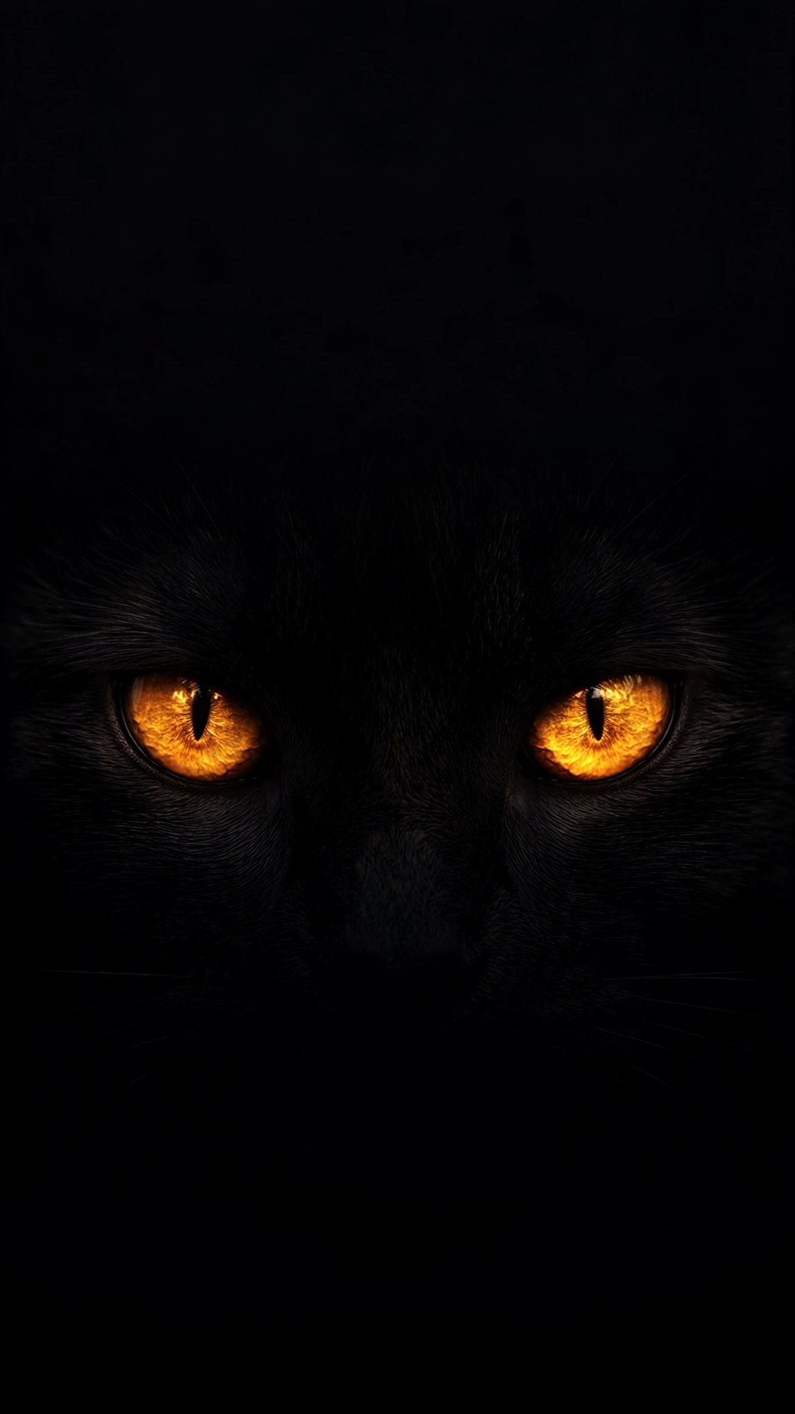 Black cat glowing amber eyes emerging from pure darkness