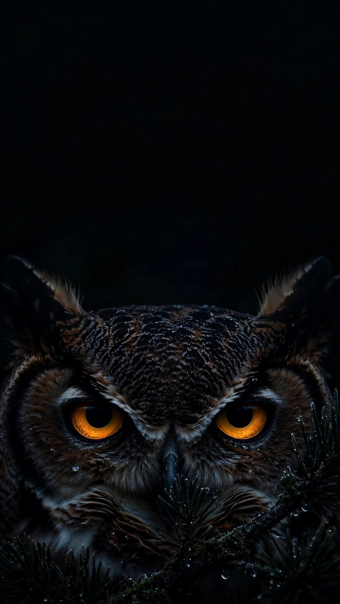 Owl Eyes in the Dark minimal wallpaper