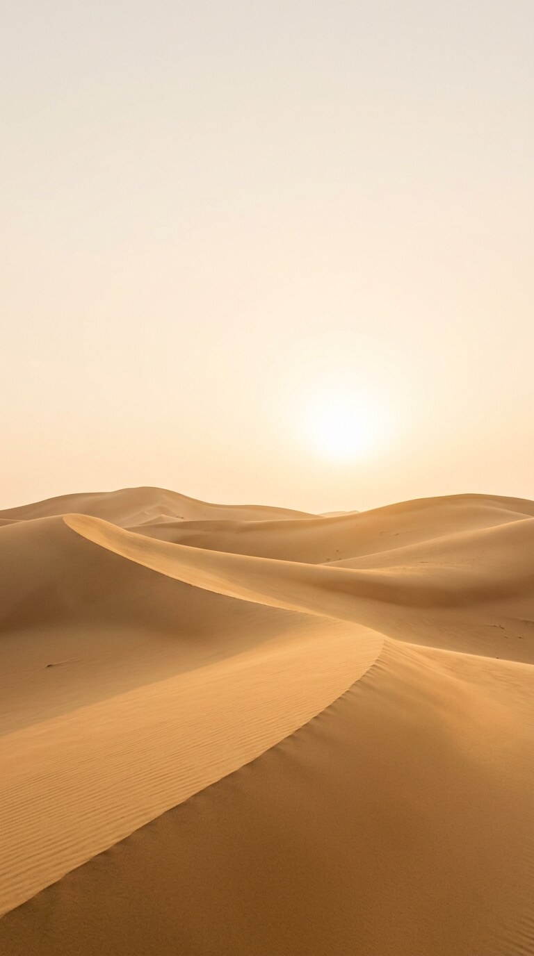 Golden Desert Sunrise HD Wallpaper free HD mobile background