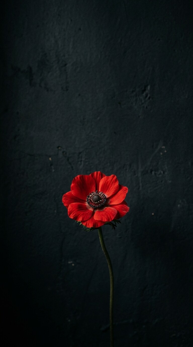 Red Flower Dark Wall Wallpaper free HD mobile background