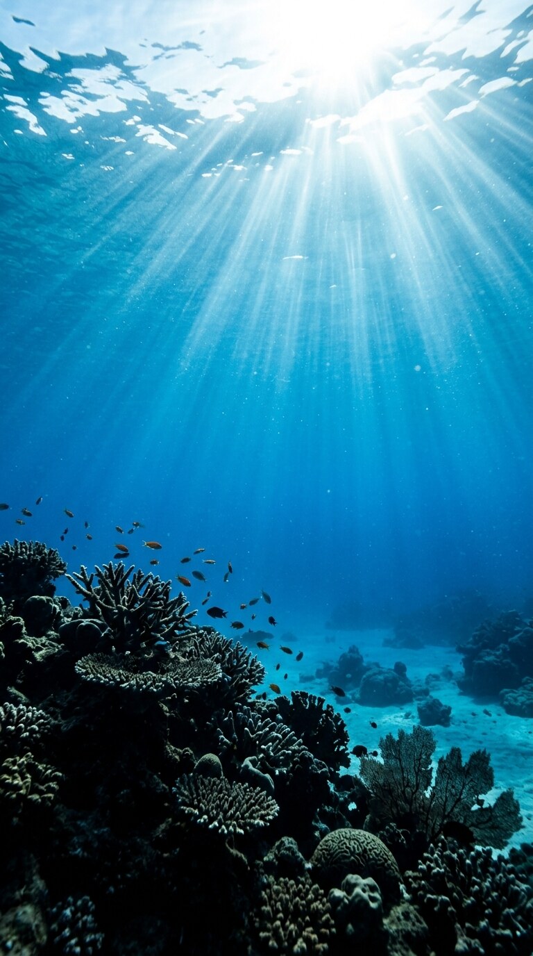 Underwater Sun Rays Wallpaper free HD mobile background