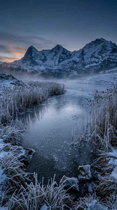 Frozen alpine pond with frosted reeds.