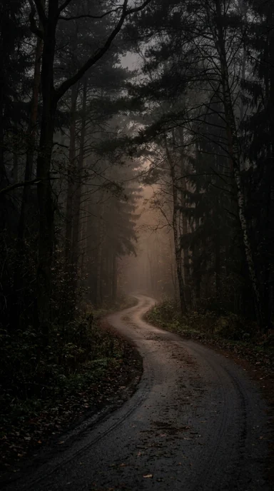 An empty forest road fading into fog.