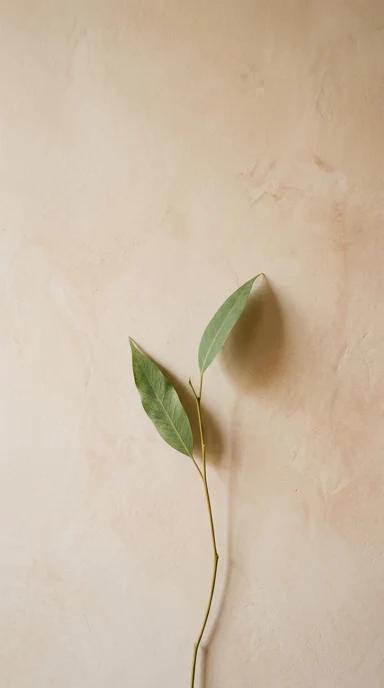 A slender stem with two leaves.