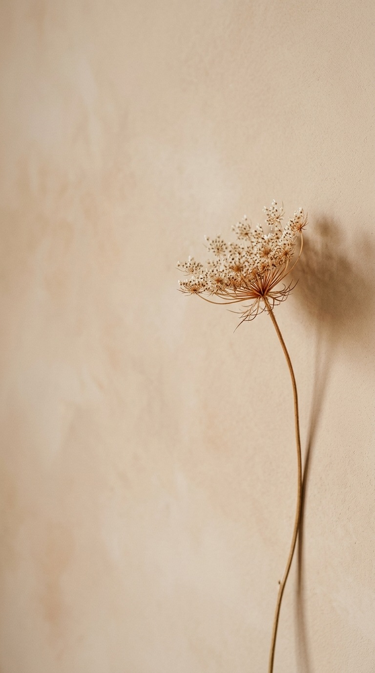 A solitary dried flower.
