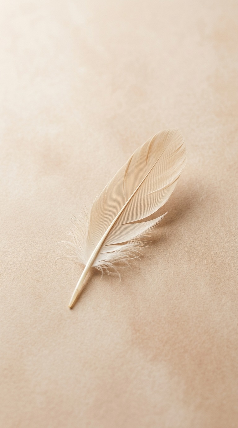 A solitary feather.