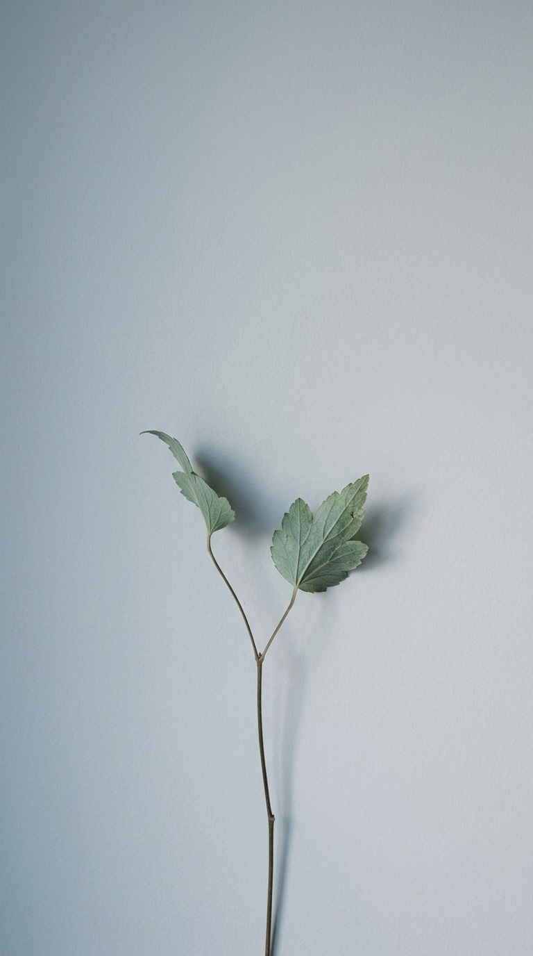 A slender stem with two leaves.