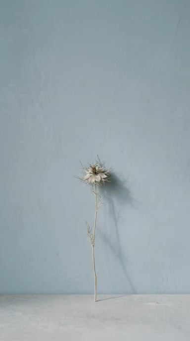 A solitary dried flower.
