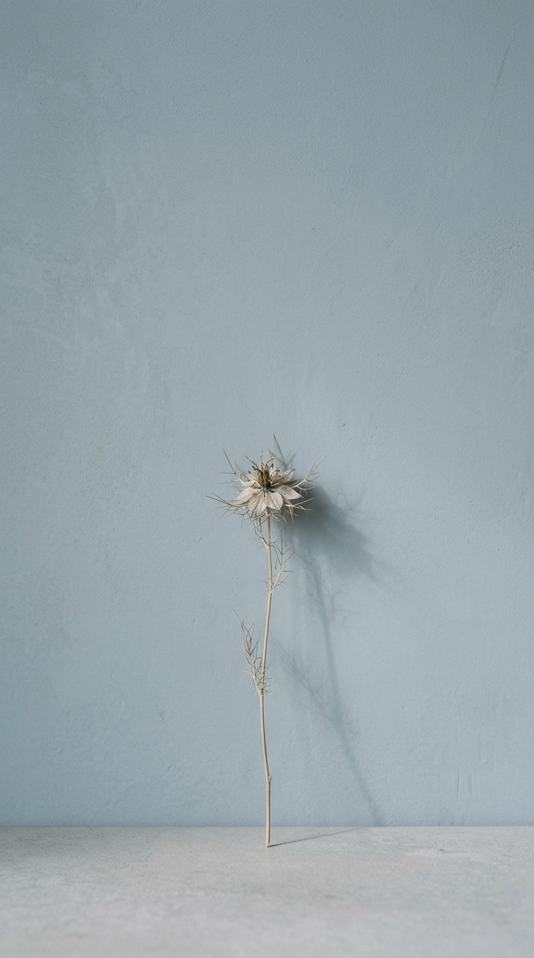 A solitary dried flower.