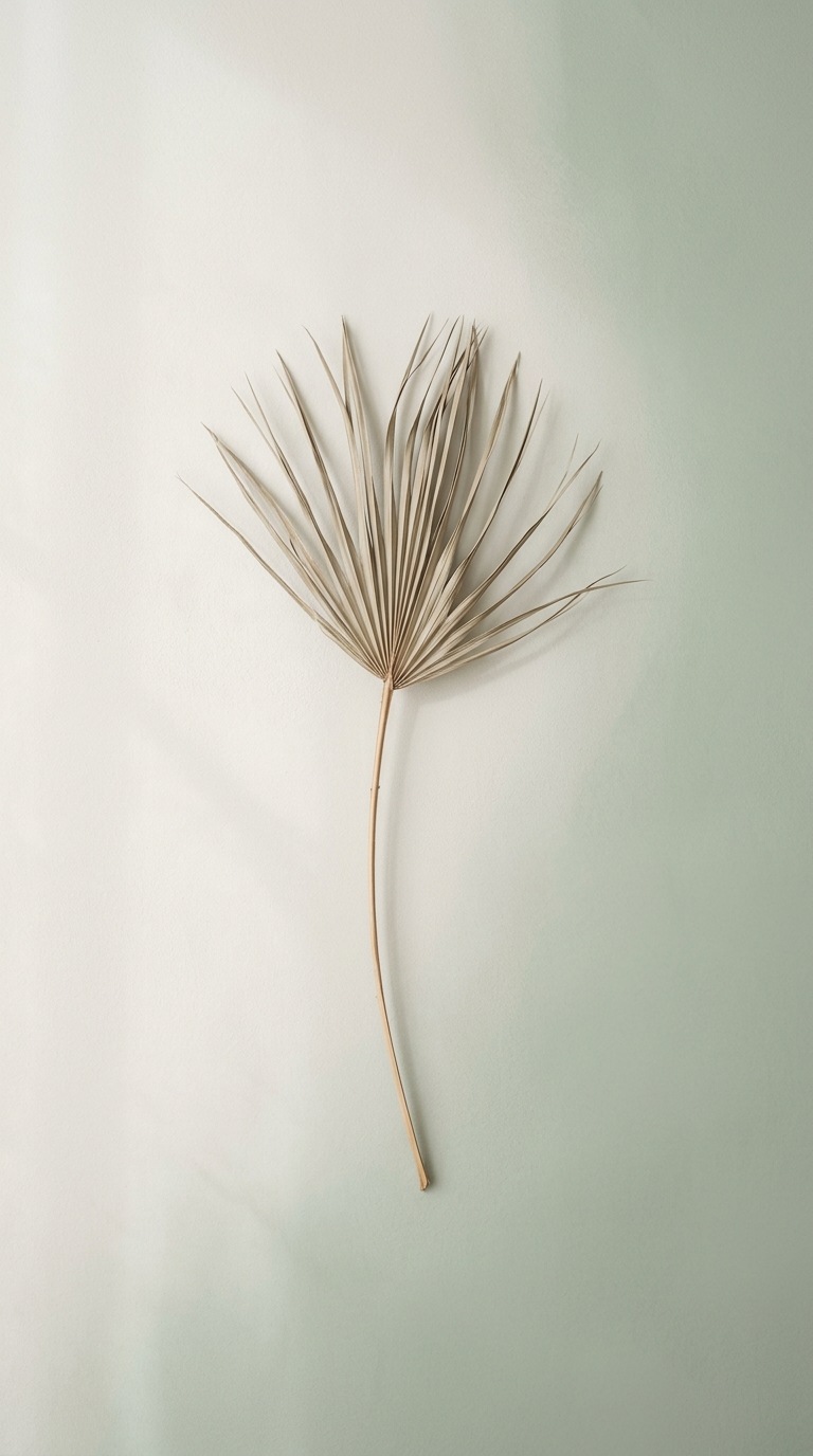 A delicate dried palm leaf.