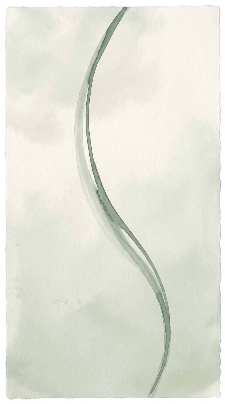 A single abstract curved line.