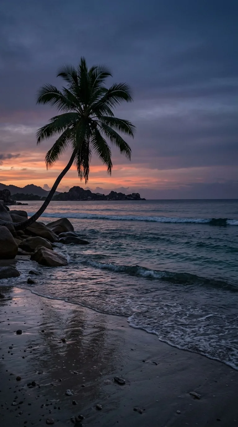 A tranquil beach with a single palm.
