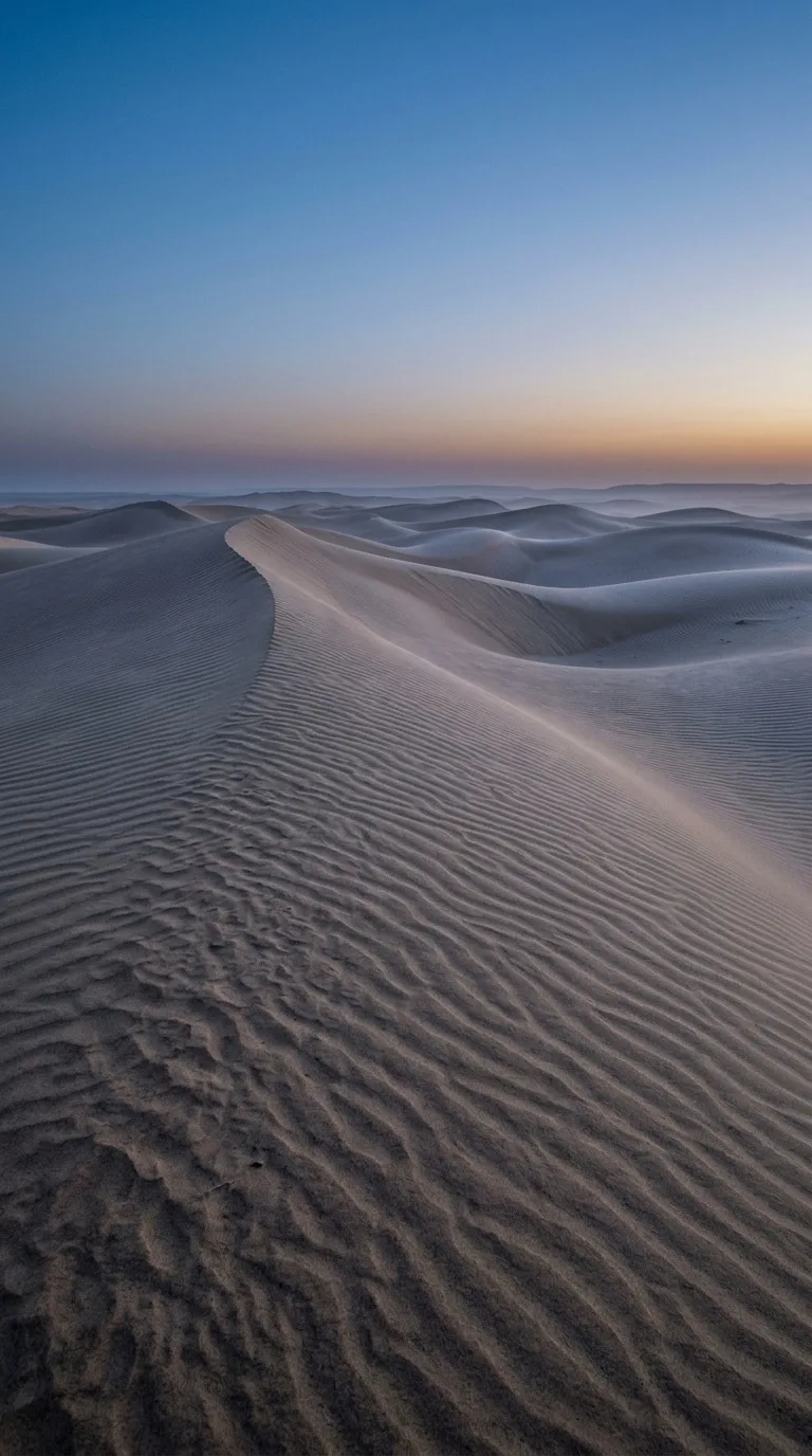 Quiet desert dunes with rippled sand.